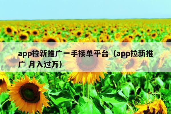 app拉新推广一手接单平台（app拉新推广 月入过万）
