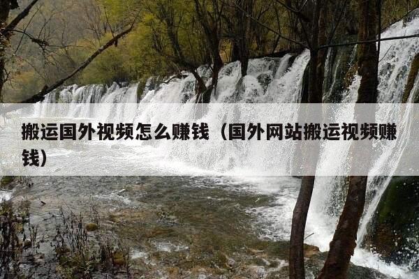 搬运国外视频怎么赚钱（国外网站搬运视频赚钱）