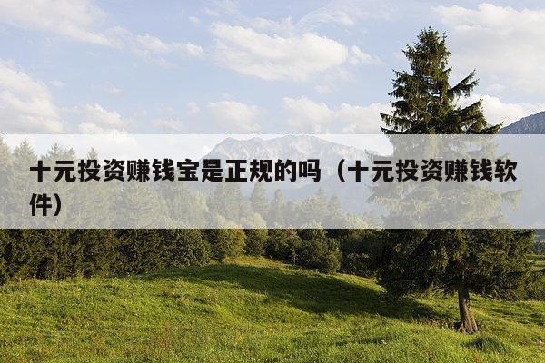 十元投资赚钱宝是正规的吗（十元投资赚钱软件）