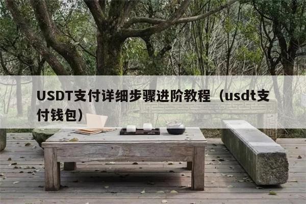 USDT支付详细步骤进阶教程（usdt支付钱包）