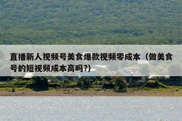 直播新人视频号美食爆款视频零成本（做美食号的短视频成本高吗?）