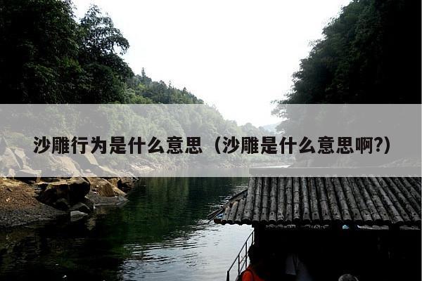 沙雕行为是什么意思（沙雕是什么意思啊?）