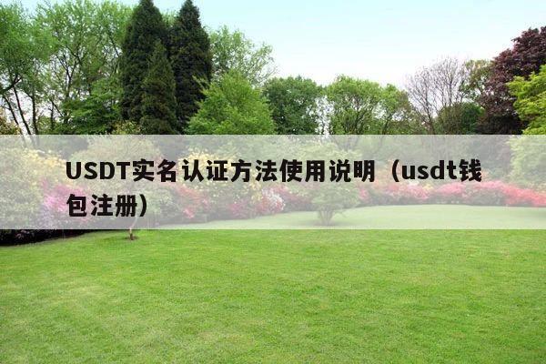 USDT实名认证方法使用说明（usdt钱包注册）