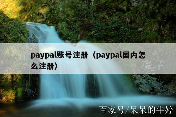 paypal账号注册（paypal国内怎么注册）