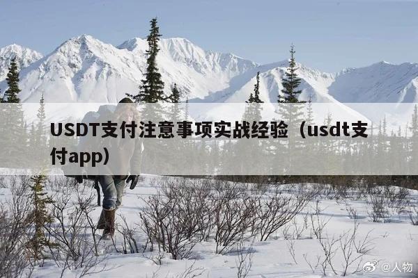 USDT支付注意事项实战经验（usdt支付app）