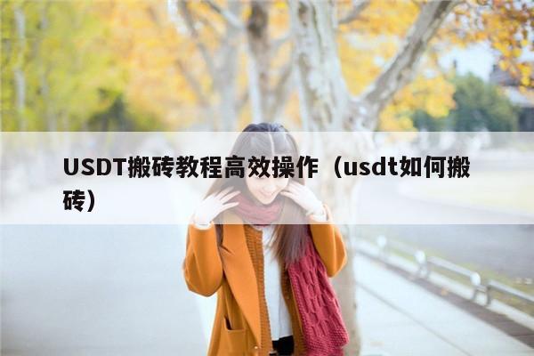 USDT搬砖教程高效操作（usdt如何搬砖）