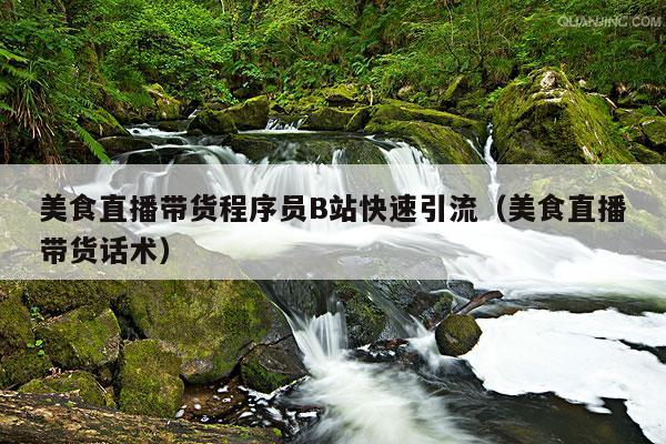 美食直播带货程序员B站快速引流（美食直播带货话术）