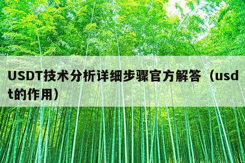 USDT技术分析详细步骤官方解答（usdt的作用）