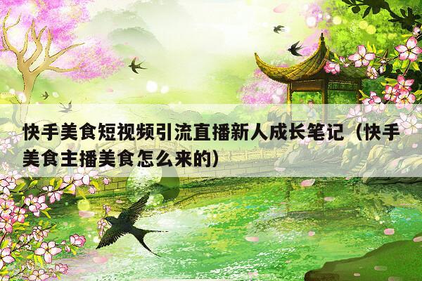 快手美食短视频引流直播新人成长笔记（快手美食主播美食怎么来的）