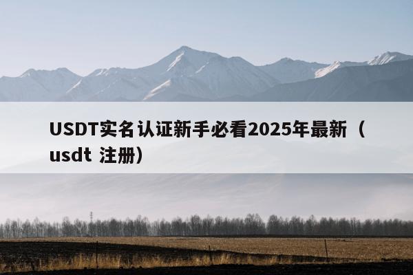 USDT实名认证新手必看2025年最新（usdt 注册）