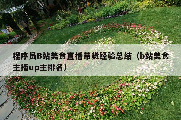 程序员B站美食直播带货经验总结（b站美食主播up主排名）