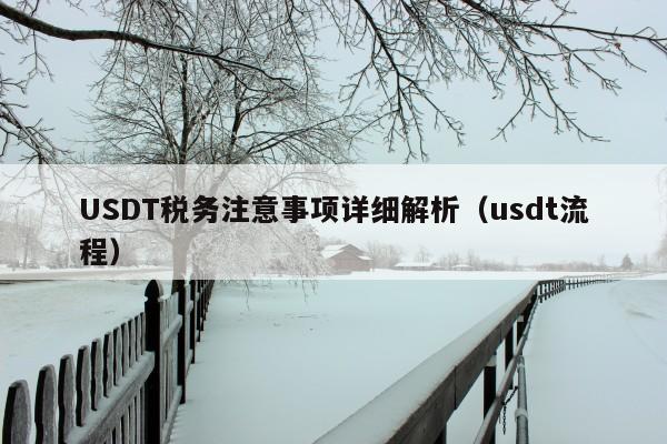 USDT税务注意事项详细解析(usdt流程)