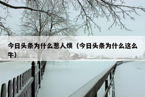 今日头条为什么惹人烦(今日头条为什么这么牛)