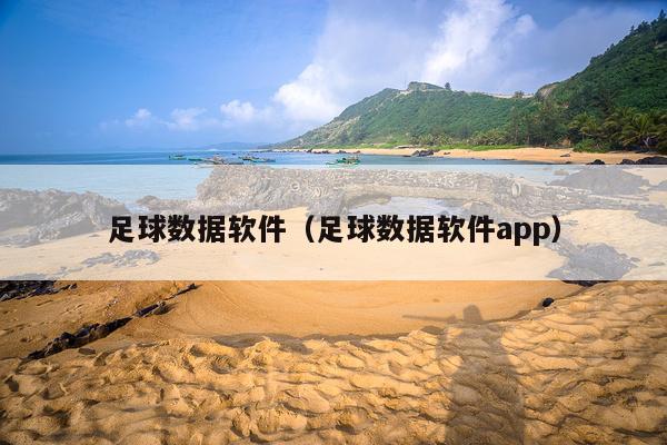 足球数据软件(足球数据软件app)